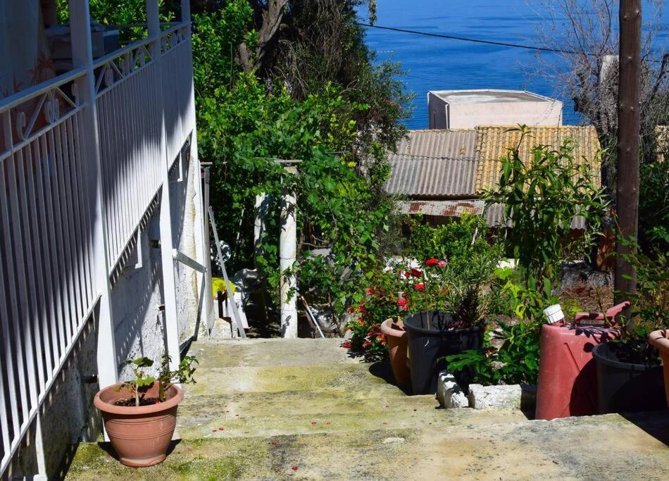 Kiki'S Beautiful House On Famous Village Pentati Экстерьер фото